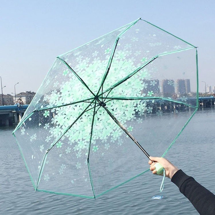 product_1781497048_1415 Transparent Sakura Blossom Umbrella | কোরিয়ান স্টাইল চেরি ব্লসম ছাতা - Image 2