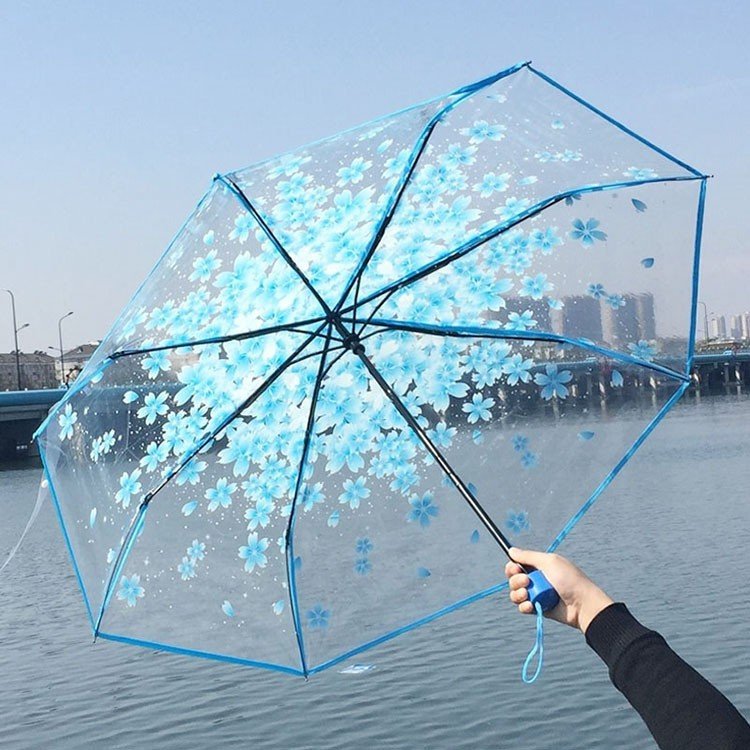 product_1781497048_2261 Transparent Sakura Blossom Umbrella | কোরিয়ান স্টাইল চেরি ব্লসম ছাতা - Image 3