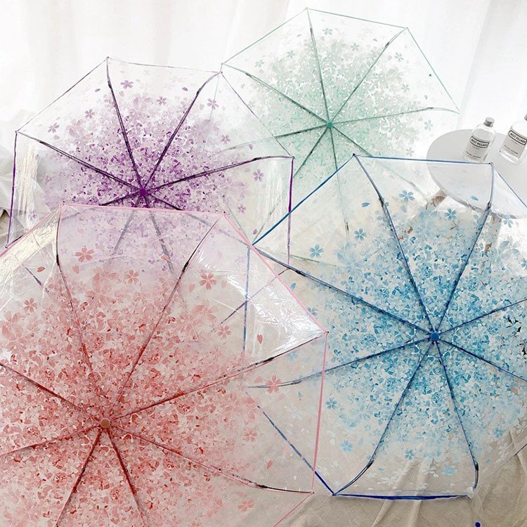 product_1781497048_2599 Transparent Sakura Blossom Umbrella | কোরিয়ান স্টাইল চেরি ব্লসম ছাতা - Image 4